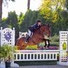 lbrad016